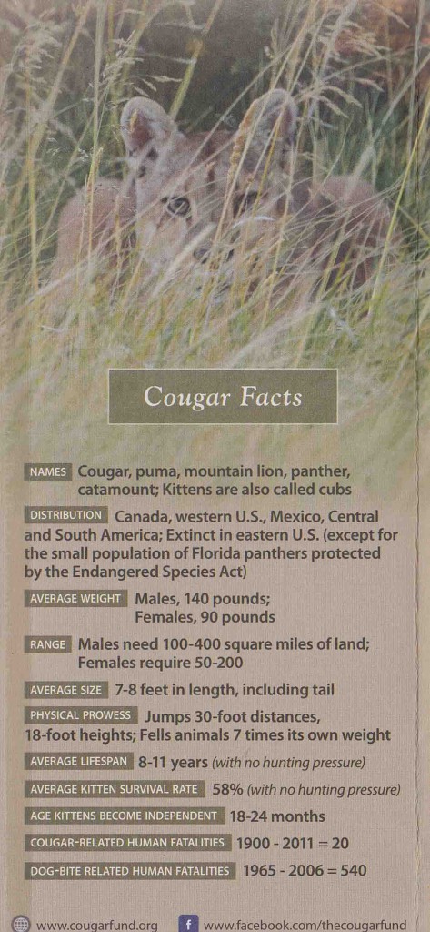 Cougar 1