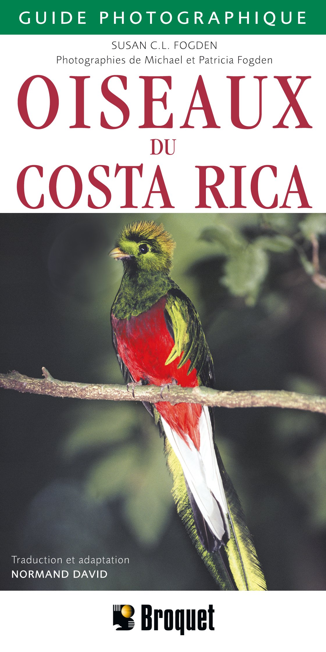 Oiseaux Du Costa Rica Faune Sauvage