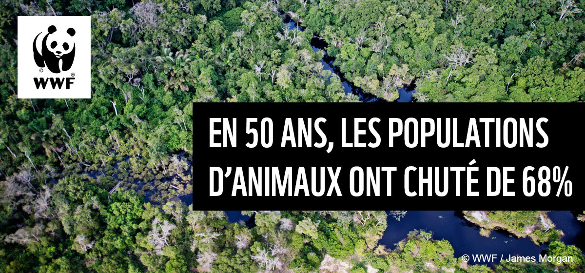 Le rapport Planète vivante du WWF Faune Sauvage