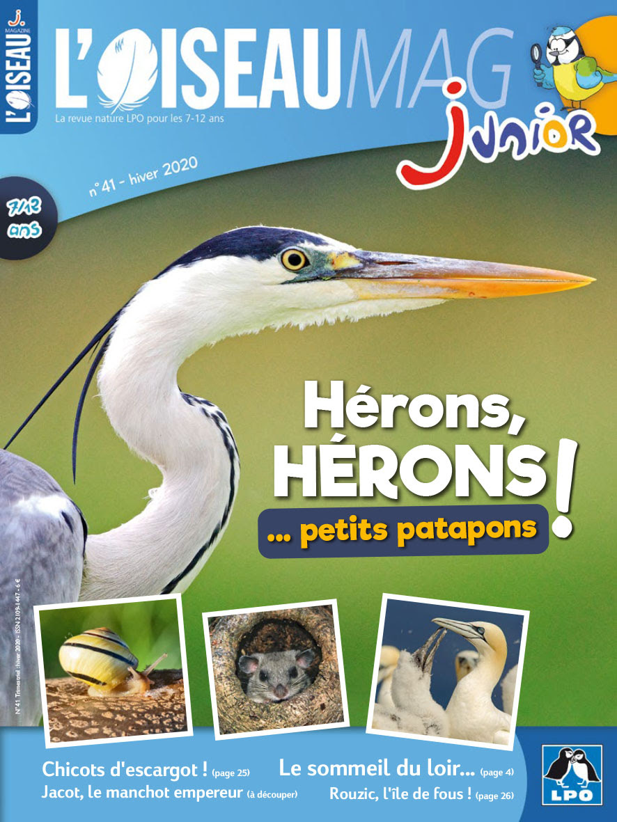 L Oiseau Mag Junior N41 Hiver 2020 2021 Faune Sauvage