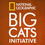 Big Cats Initiative - Faune Sauvage