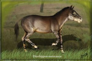 dinohippus_mexicanus_by_karkemish00-d2y49u6