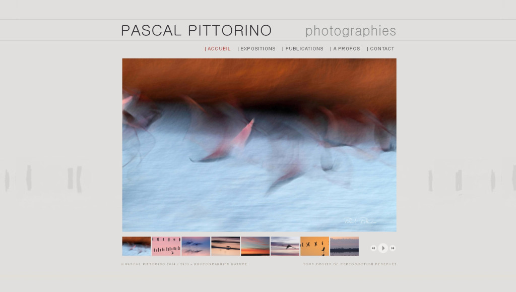 Pittorino site