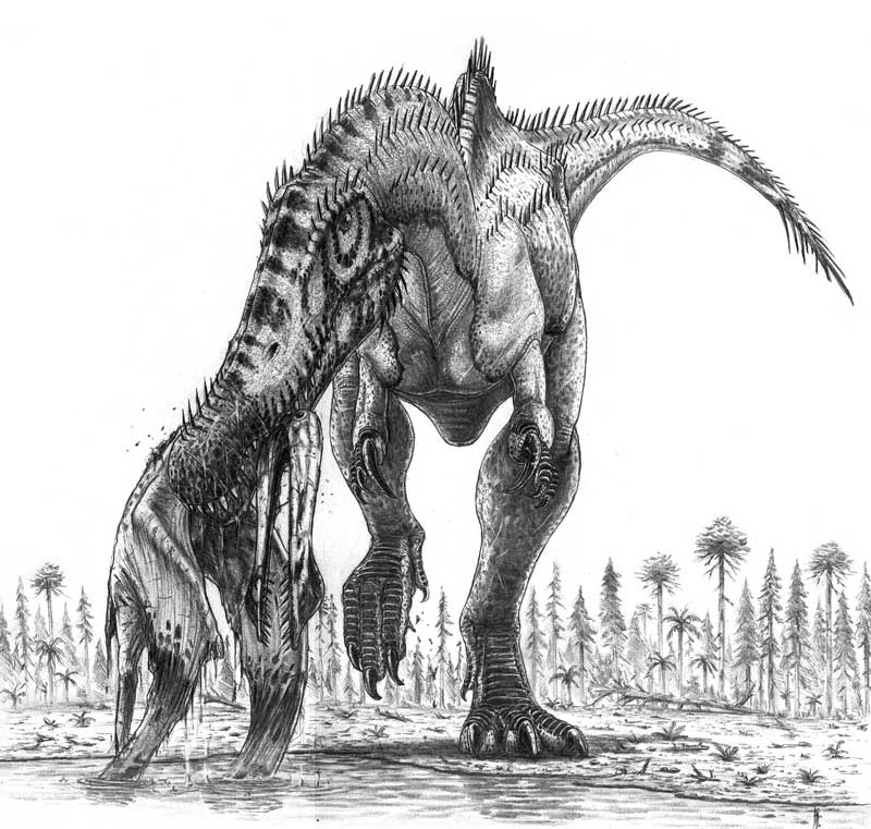 Irritator_challengeri - Faune Sauvage