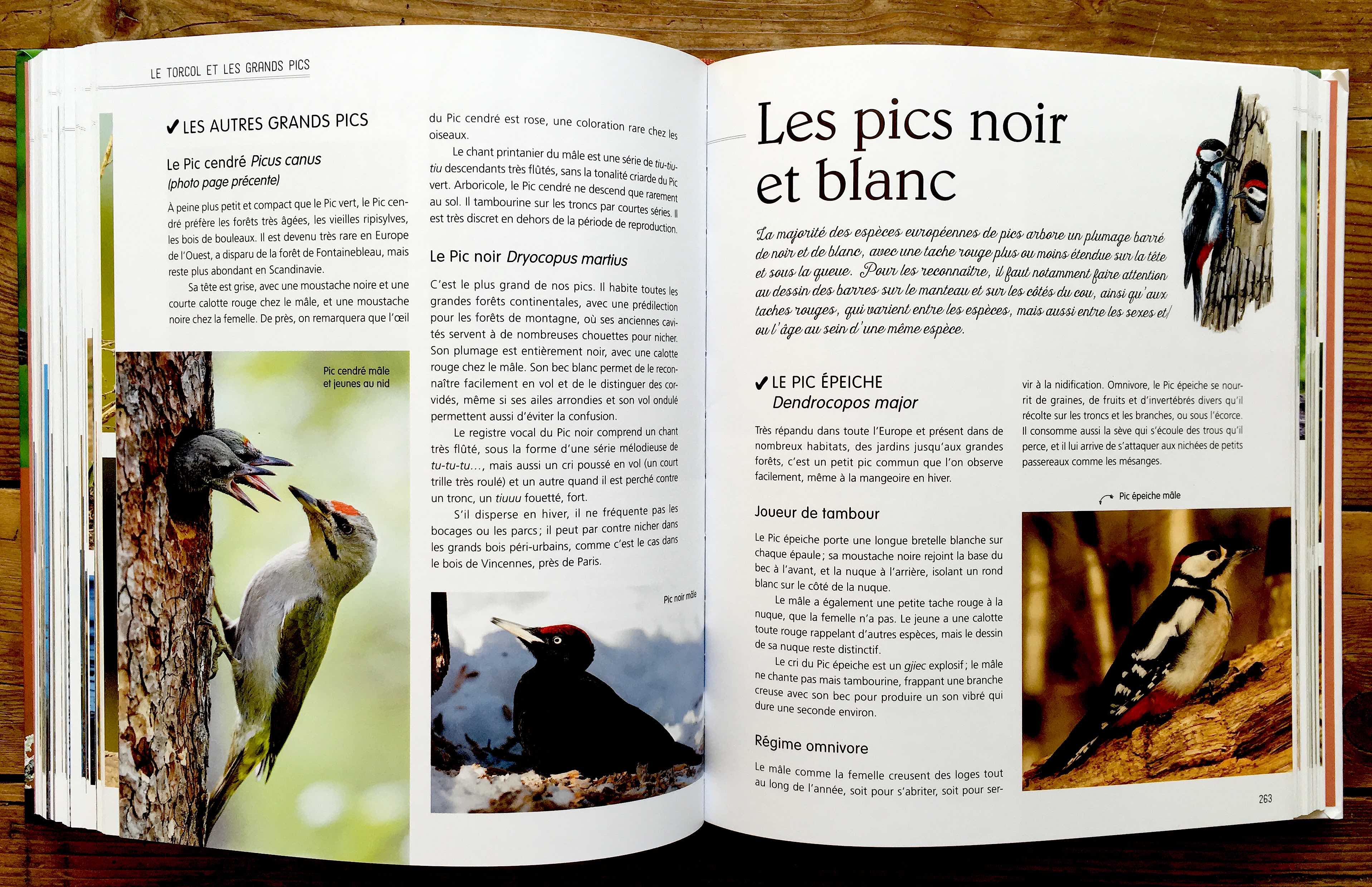 Le petit Larousse des oiseaux de France & d'Europe 2021 