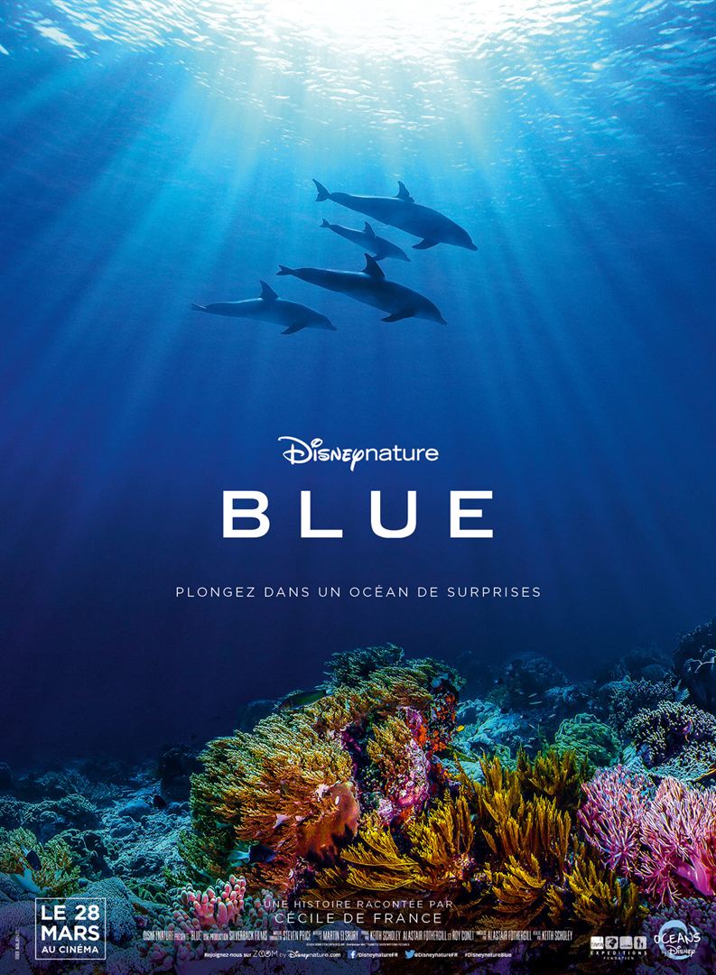 Blue de Disney : une magnifique plongée à la découverte des espèces de l'océan  - Faune Sauvage