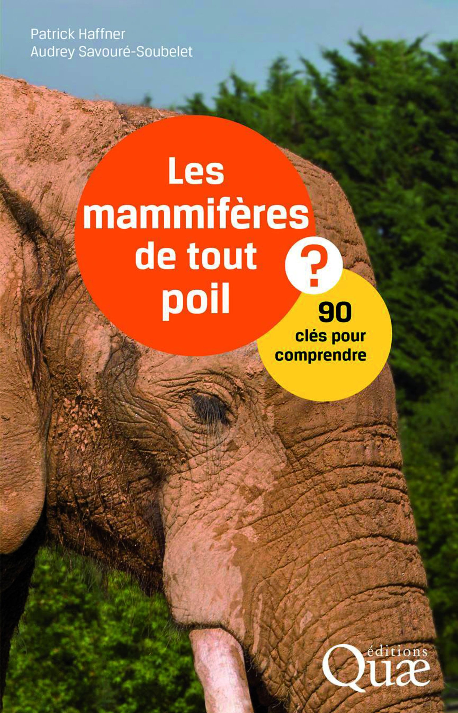 Les Mammifères : 90 Clés Pour Comprendre - Faune Sauvage