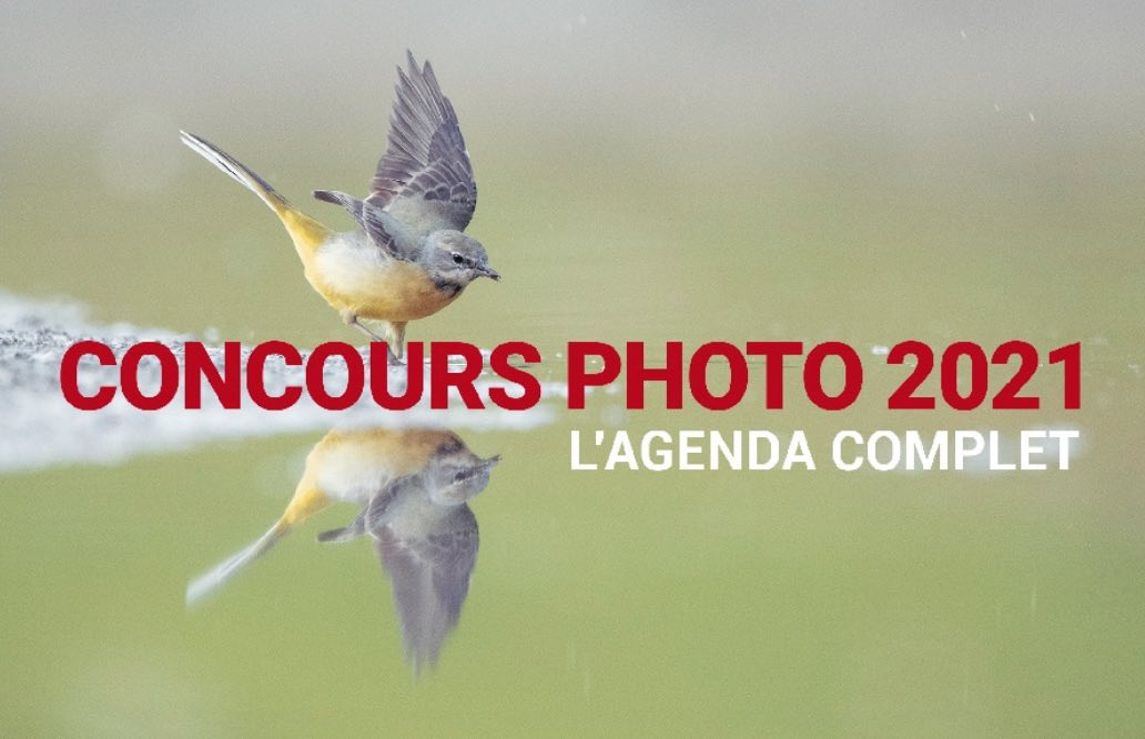 L'agenda des meilleurs concours de photo nature 2021 Faune Sauvage