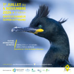 6ème Festival International de Photographies Animalières et de Nature, entre Huningue et Kembs (Grand Est)